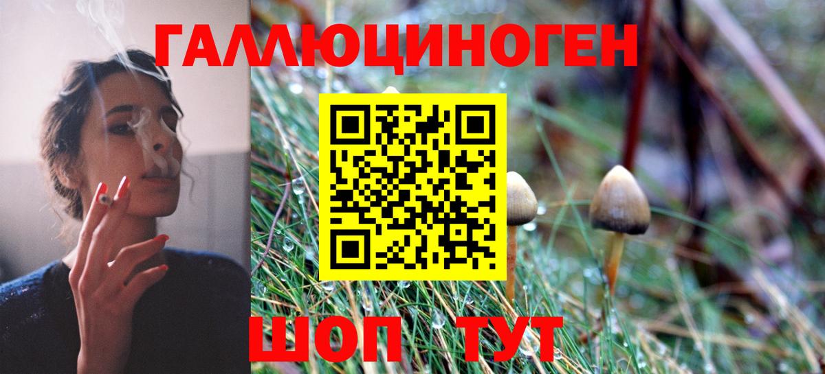 Галлюциногенные грибы MAGIC MUSHROOMS Щёкино